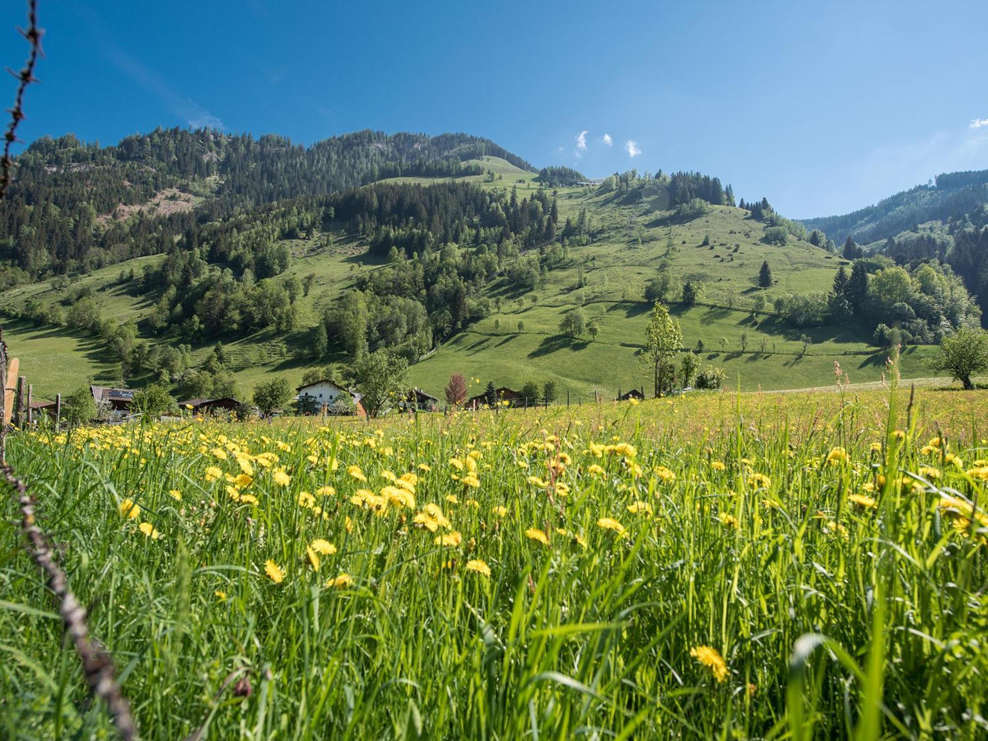 Appartement-Pension Fahrnberggut Rauris Buitenkant foto